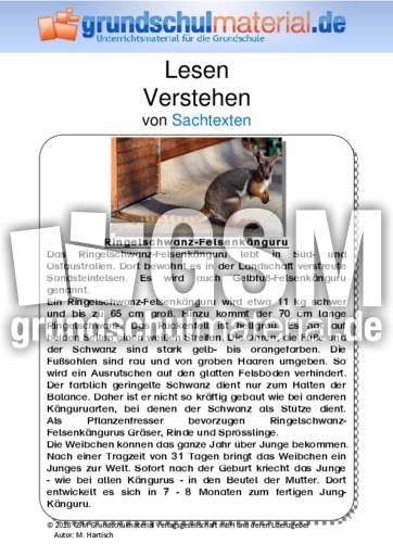 Ringelschwanz-Felsenkänguru - Sachtext.pdf
